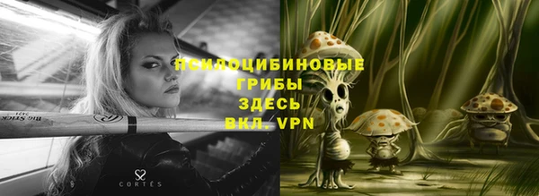 индика Алзамай
