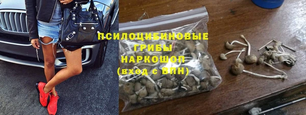 индика Алзамай