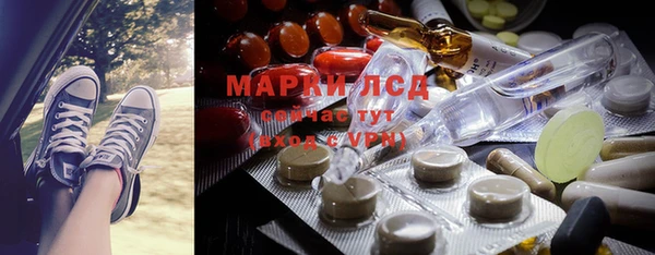 индика Алзамай