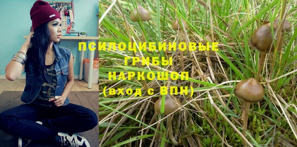 индика Алзамай